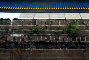 ������ͨѺ��������Ƶ��Բͨ��˾������3��Ϊ���¹������ж���ѧƷ...